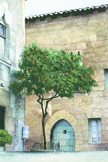 The Orange Tree - Seville