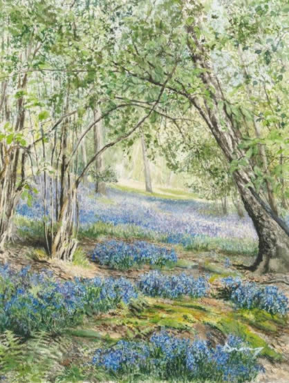 Bluebell Glade (Woods) - Prints Of Painting Drury Art Gallery